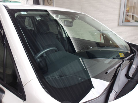 ���R�s�̃t�����g�K���X�����C��