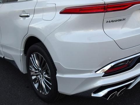 ���R�s�̃����o���p�[���A���_�[�X�|�C���[�����C��